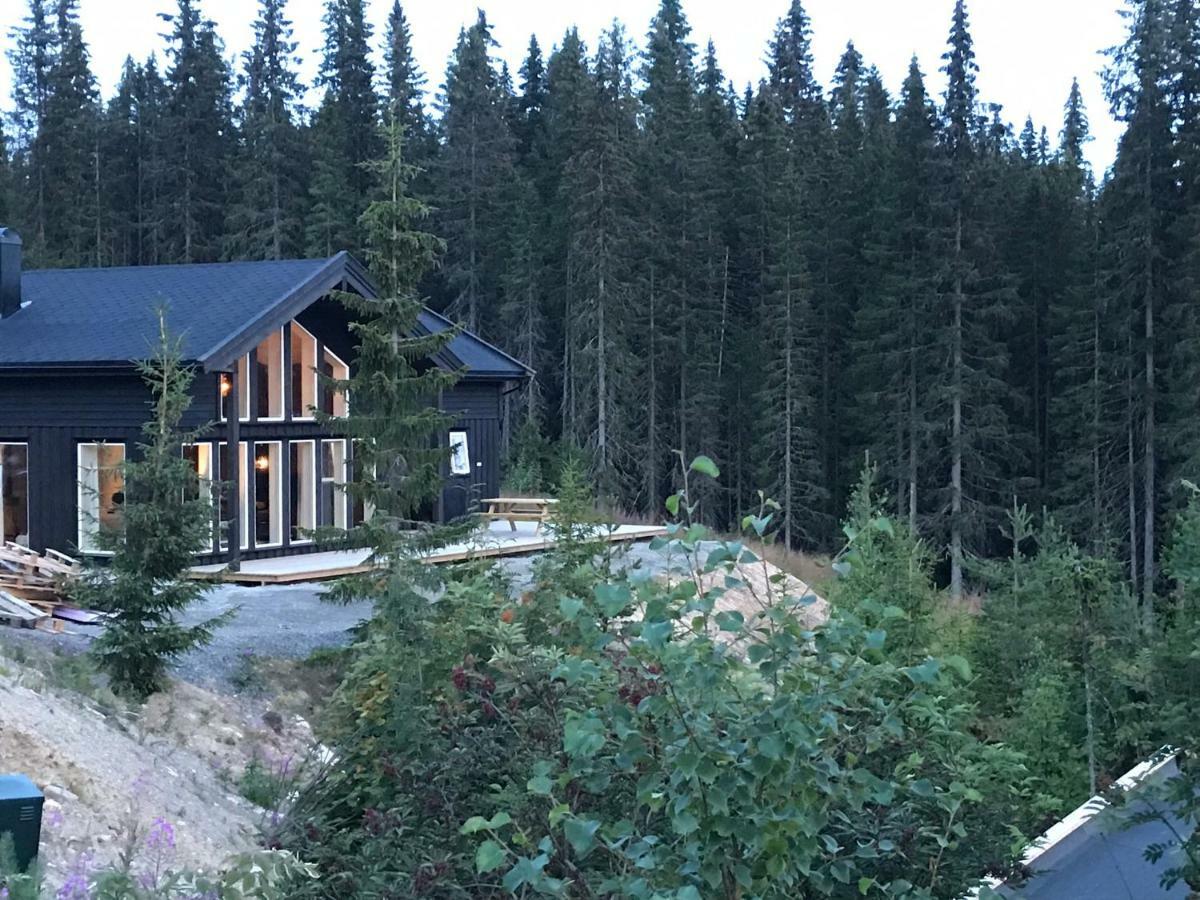 Villa Lillebjorn à Trysil Extérieur photo